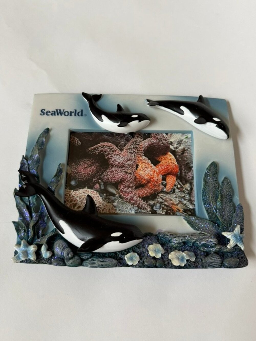 SeaWorld Orca Frame 4x6 Picture Killer Whale Shamu Souvenir Travel Gift
